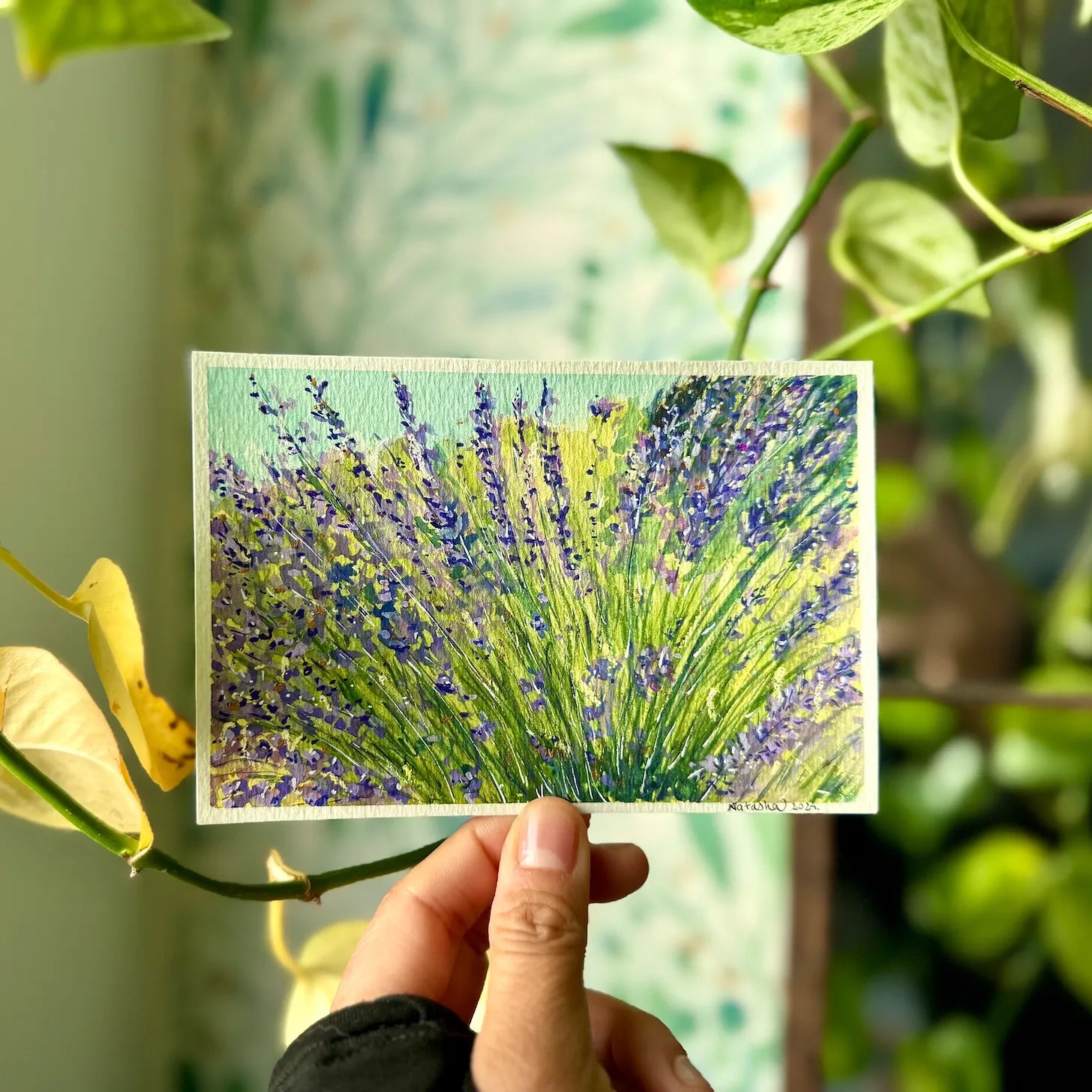 #14. L'alphabet de mon jardin 2024 - Partie 2